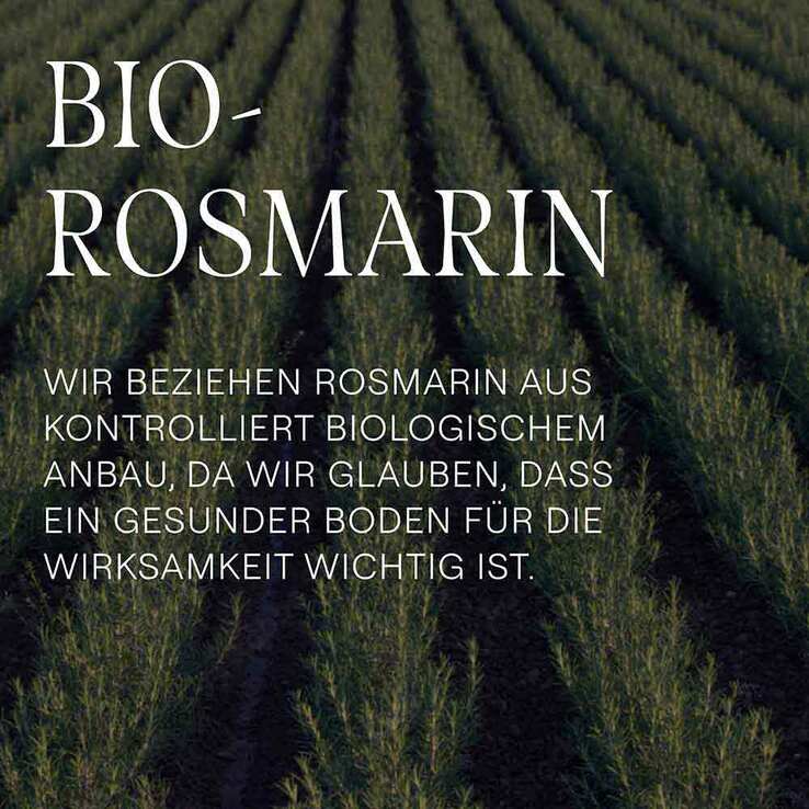 Weleda Rosmarin Revitalising Shampoo, 250 ml