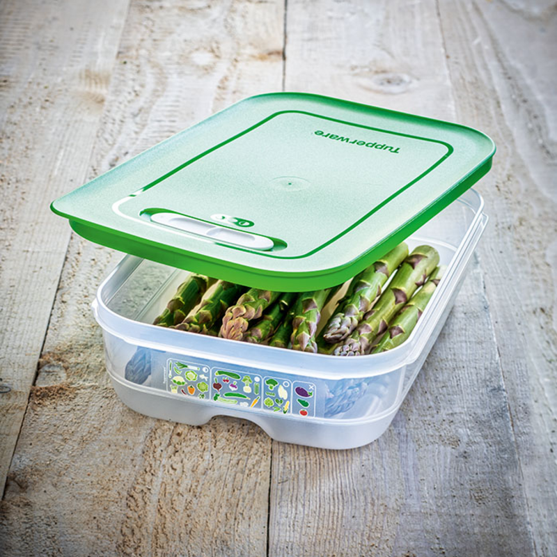 KlimaOasen-Set (5) Grundausstattung zum Frischhalten von Gemüse, Obst und Kräuter