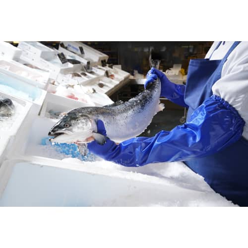 Gant de protection chimique PVC AlphaTec 23-201 bleu avec manchette renforcée 62cm