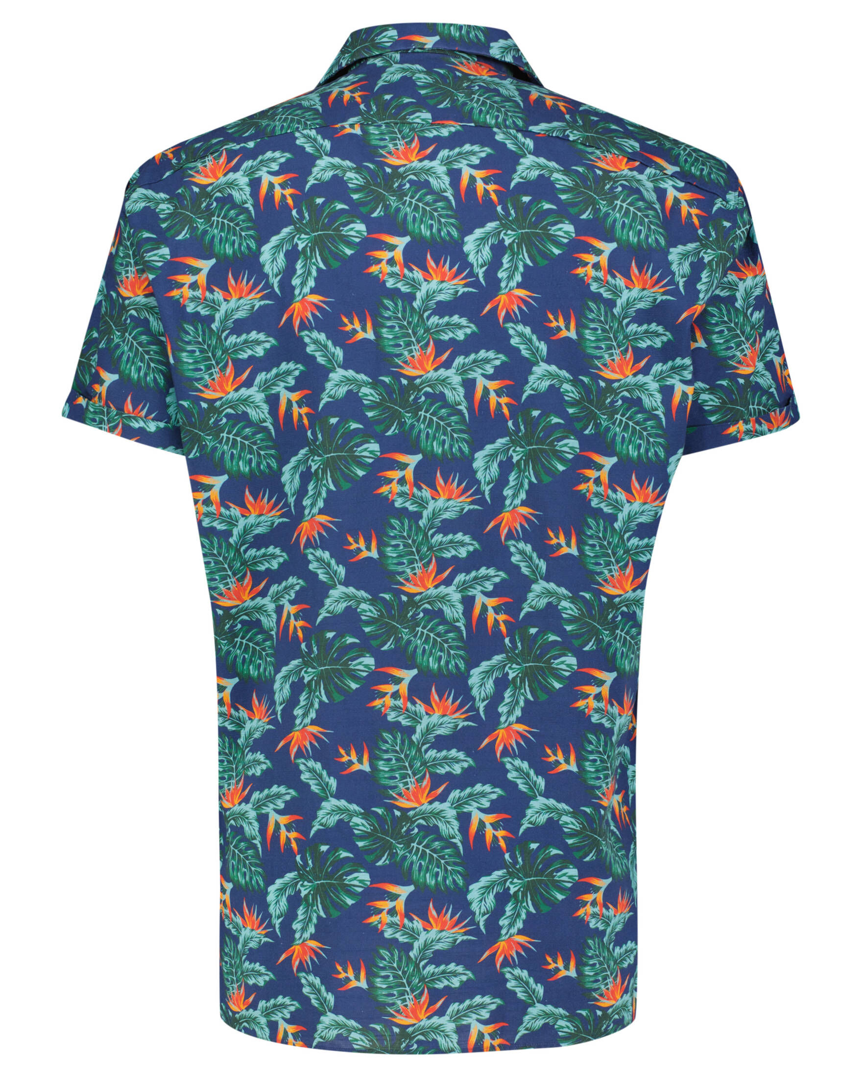 Drykorn| Herren Hemd 126074 BIJAN 10 Regular Fit