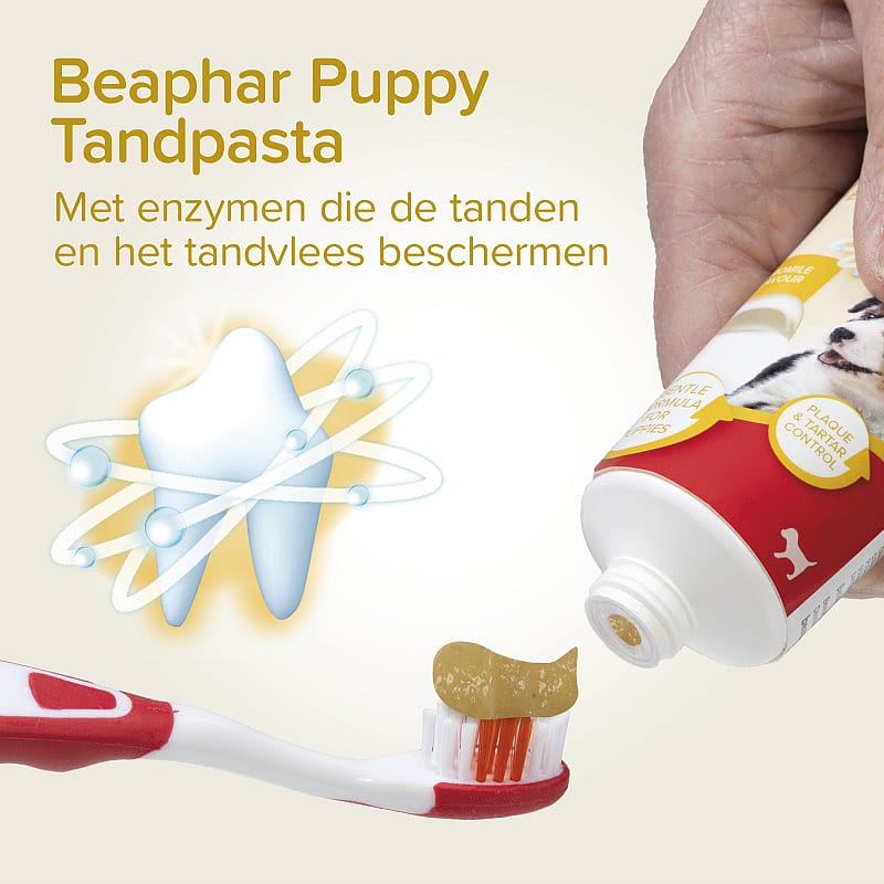 Beaphar Combi-Pack Puppy Tandpasta & Borstel | 13796