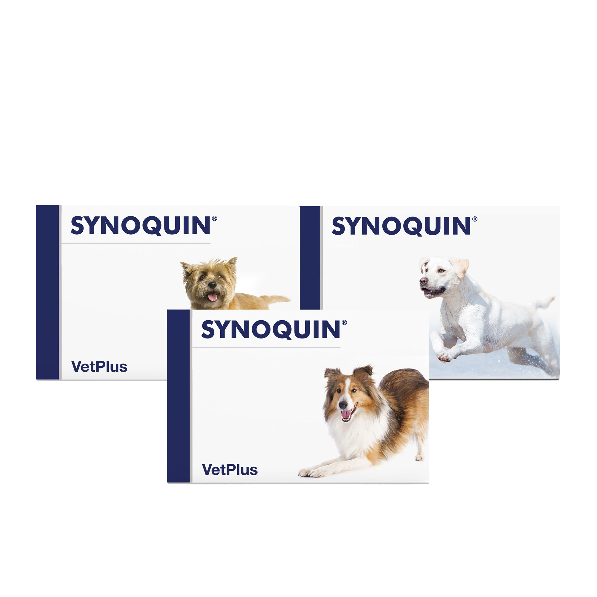 Vetplus Synoquin - Tabletten