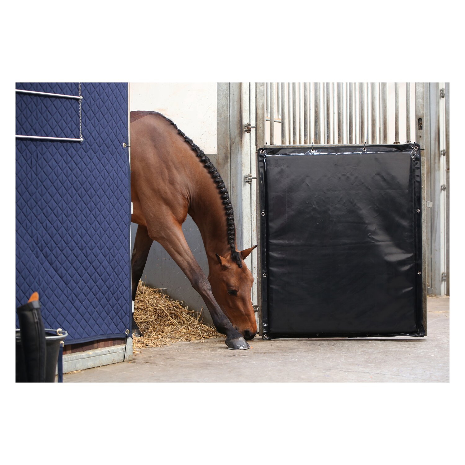 KENTUCKY Kick Pad  - black
