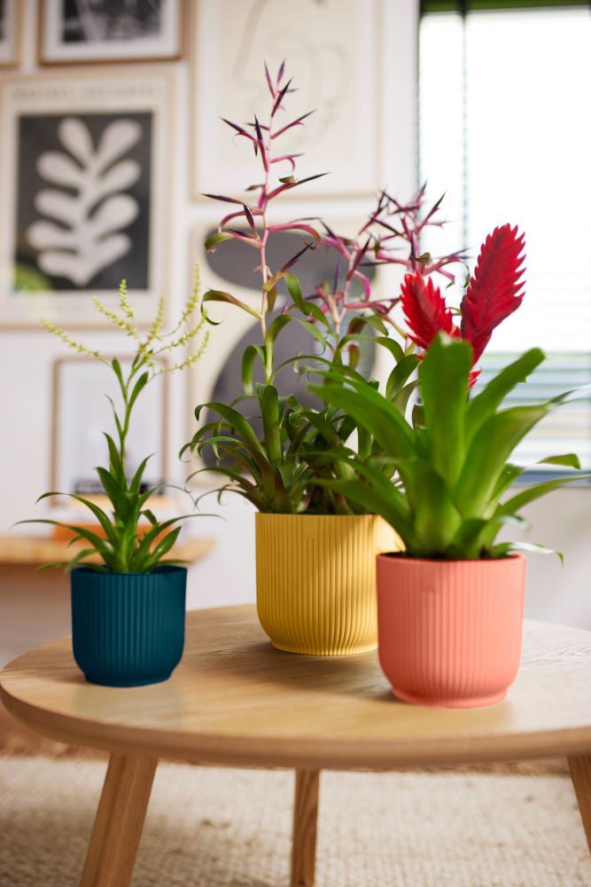 Elho bloempot Vibes roze D 11,1 H 10,5 cm