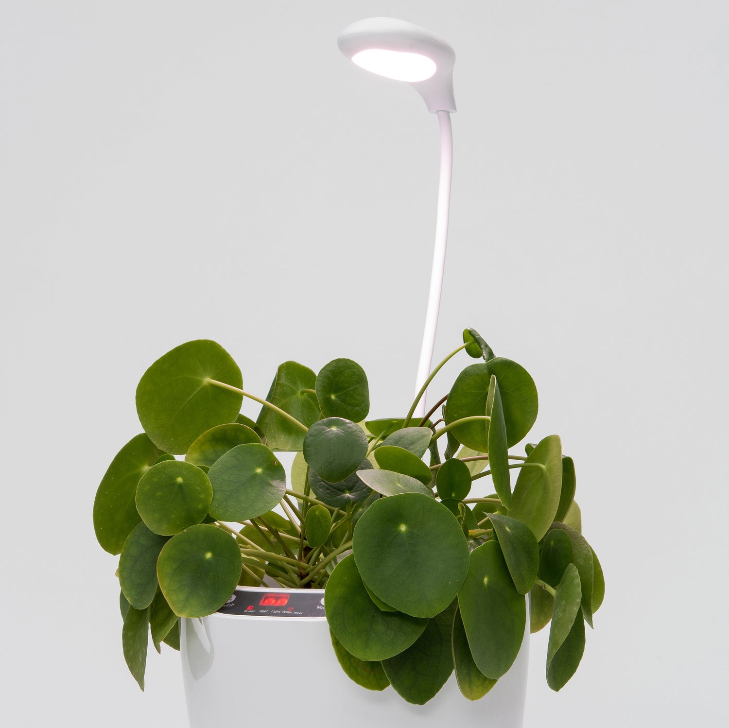 Intratuin bloempot met waterreservoir en groeilicht wit D 25,2 H 56,5 cm
