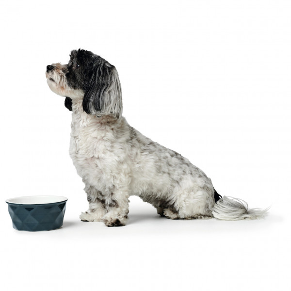 Hunter - Bol Eiby - Accessoire pour chien