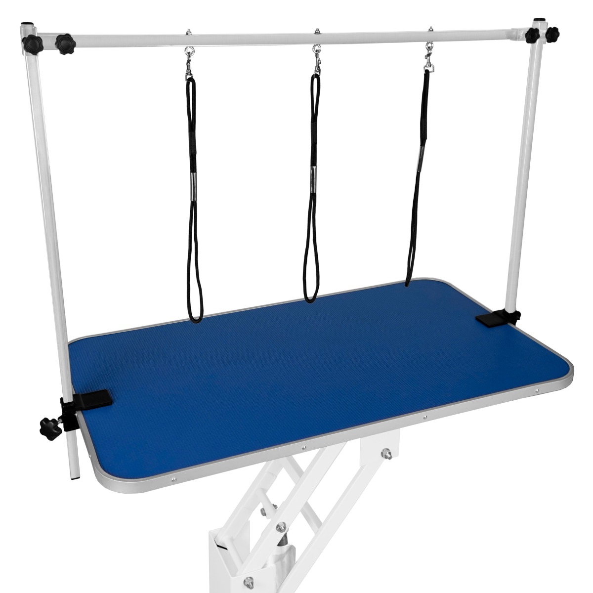 Mesa sanitária hidráulica branca - superfície azul