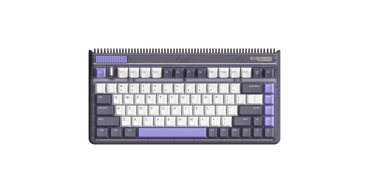 IqunixOG80 Lavandin Wireless Mechanical Keyboard, gaming toetsenbord  (Lavendel, US lay-out, Cherry MX Red, 80% (TKL), Hot-swappable, PBT, 2.4GHz | Bluetooth 5.1 | USB-C)