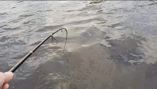 Canne Casting Patriot Pike Specialist Hyrräkelavapa 2.44m (15-75g)
