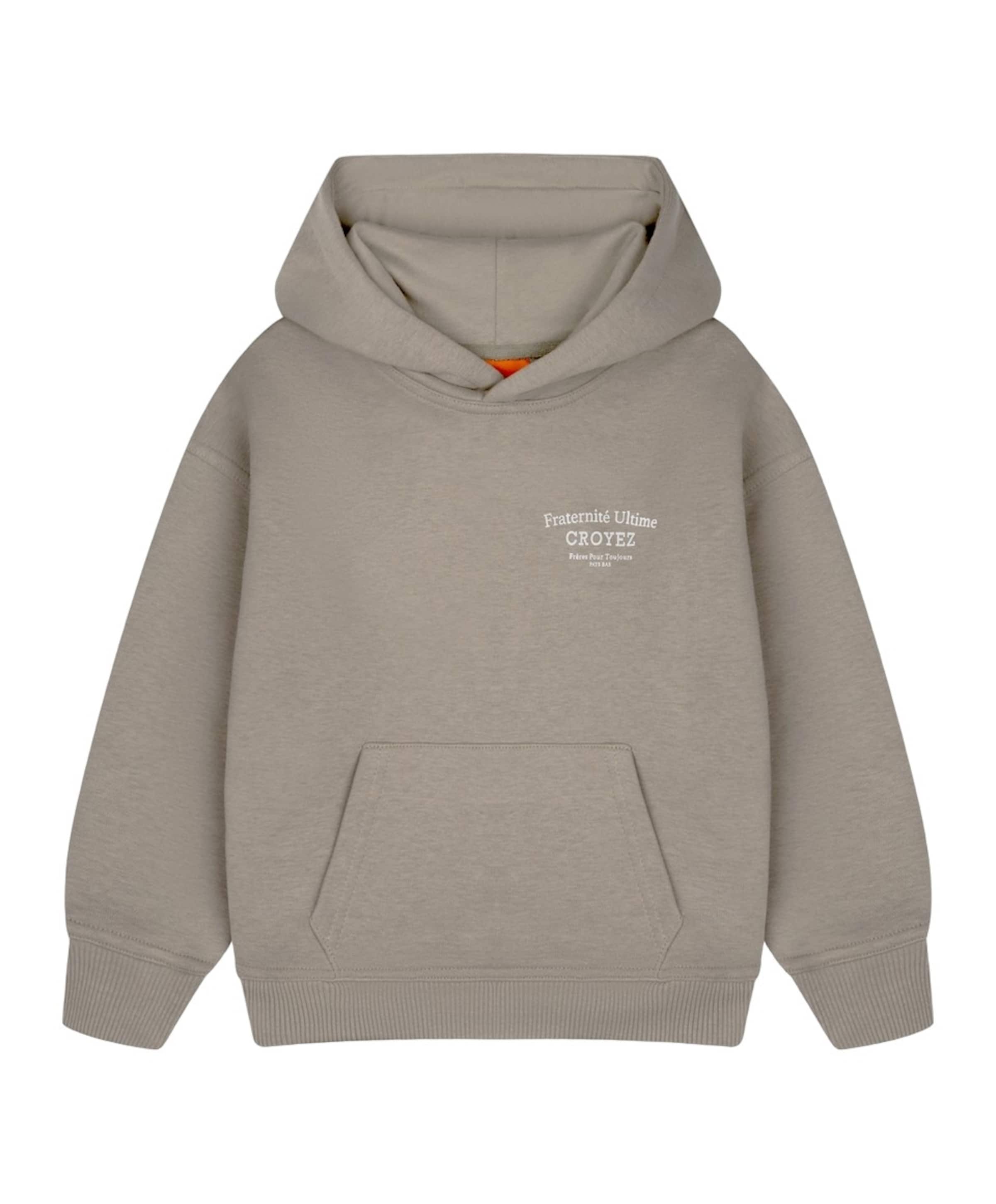 Croyez Mini Jongens hoodie grijs