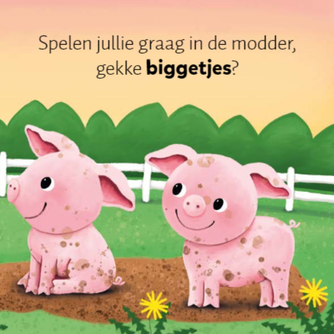 Uitgeverij clavis geluidenboekje babydieren