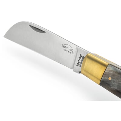 Ankermesser Bunthornheft