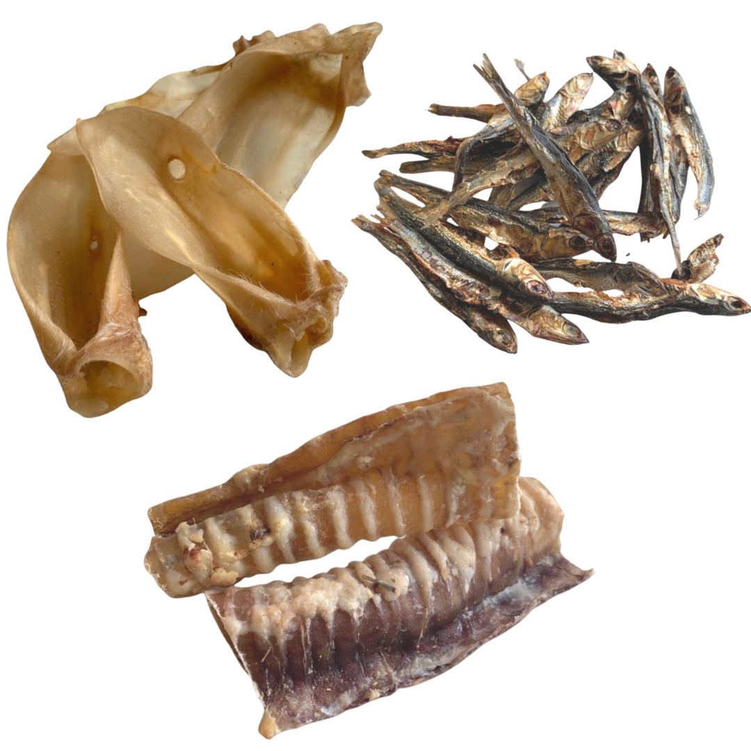 GLE PETS - PACOTE DE PETISCOS NATURAIS, PETISCOS SAUDÁVEIS PARA CÃES, 6 SACOS SORTIDOS, PARA ROER, CAIXA MARROM