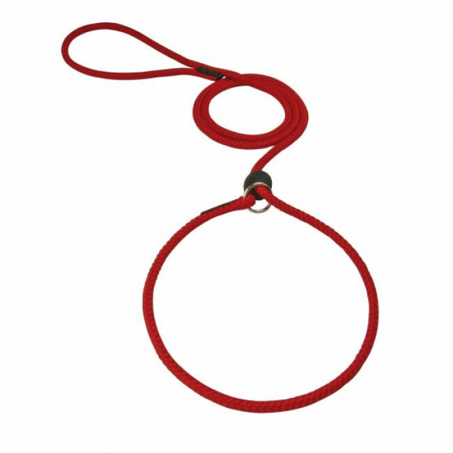 Laisse lasso ronde en corde tressée