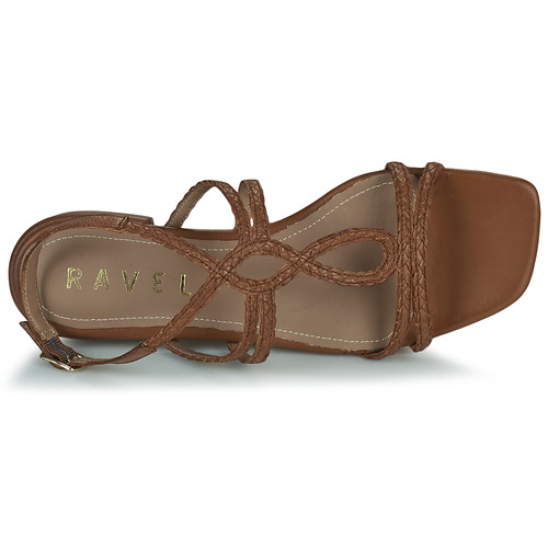 Ravel - JANS Camel