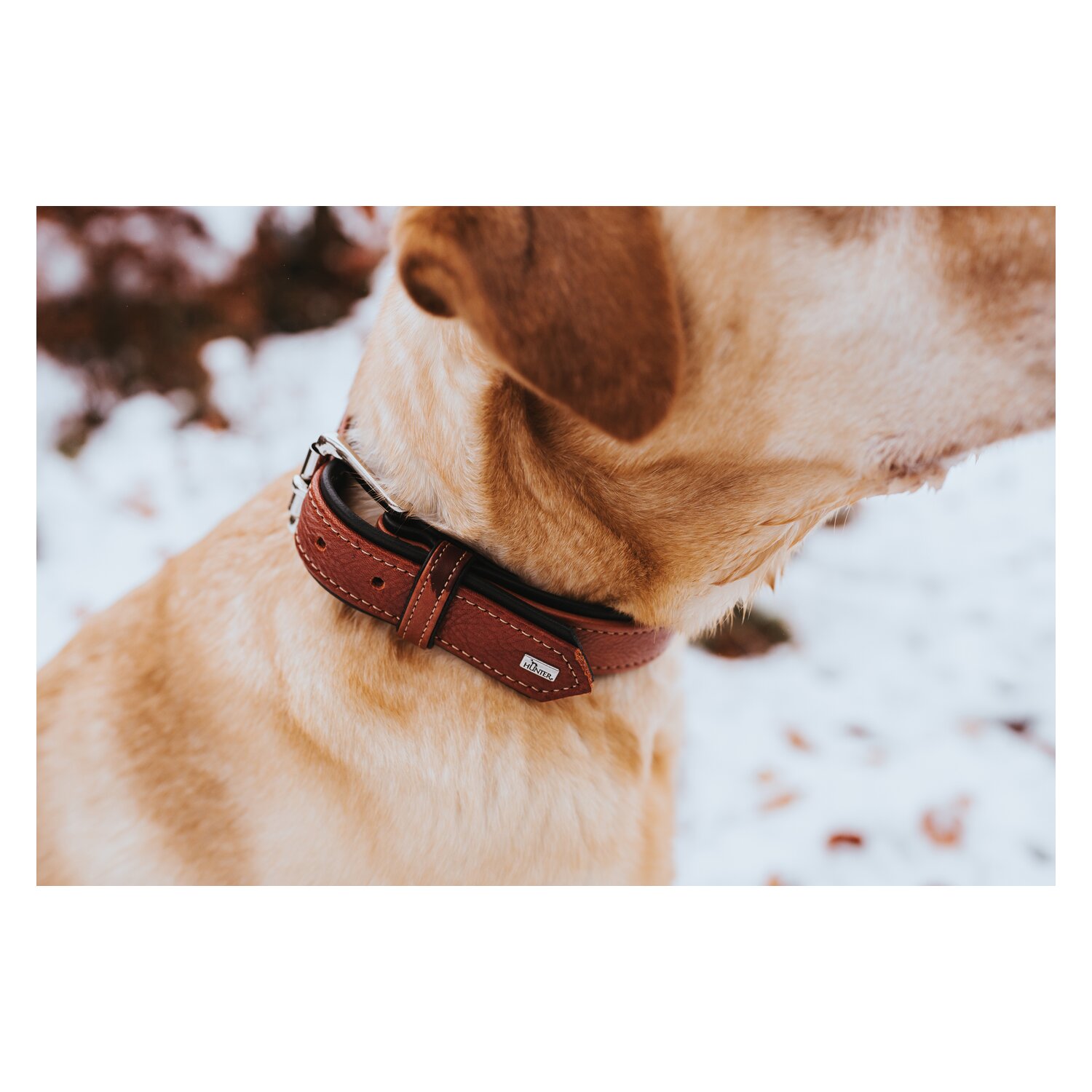 HUNTER Halsband Canadian Up - cognac/schwarz