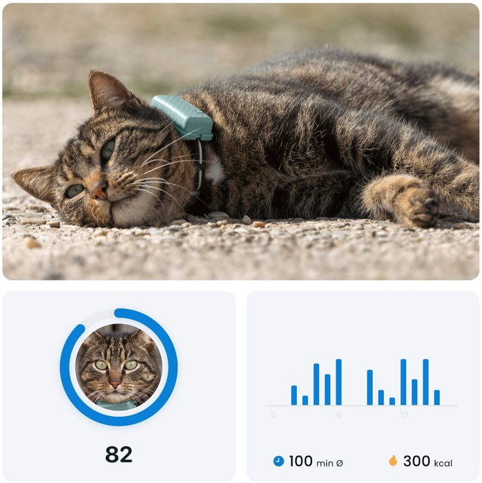 GPS CAT Mini Pet Tracker für Katzen mit Live Ortung und Aktivitäts Tracking iOS/Android (TRCAT5MT) - Mint