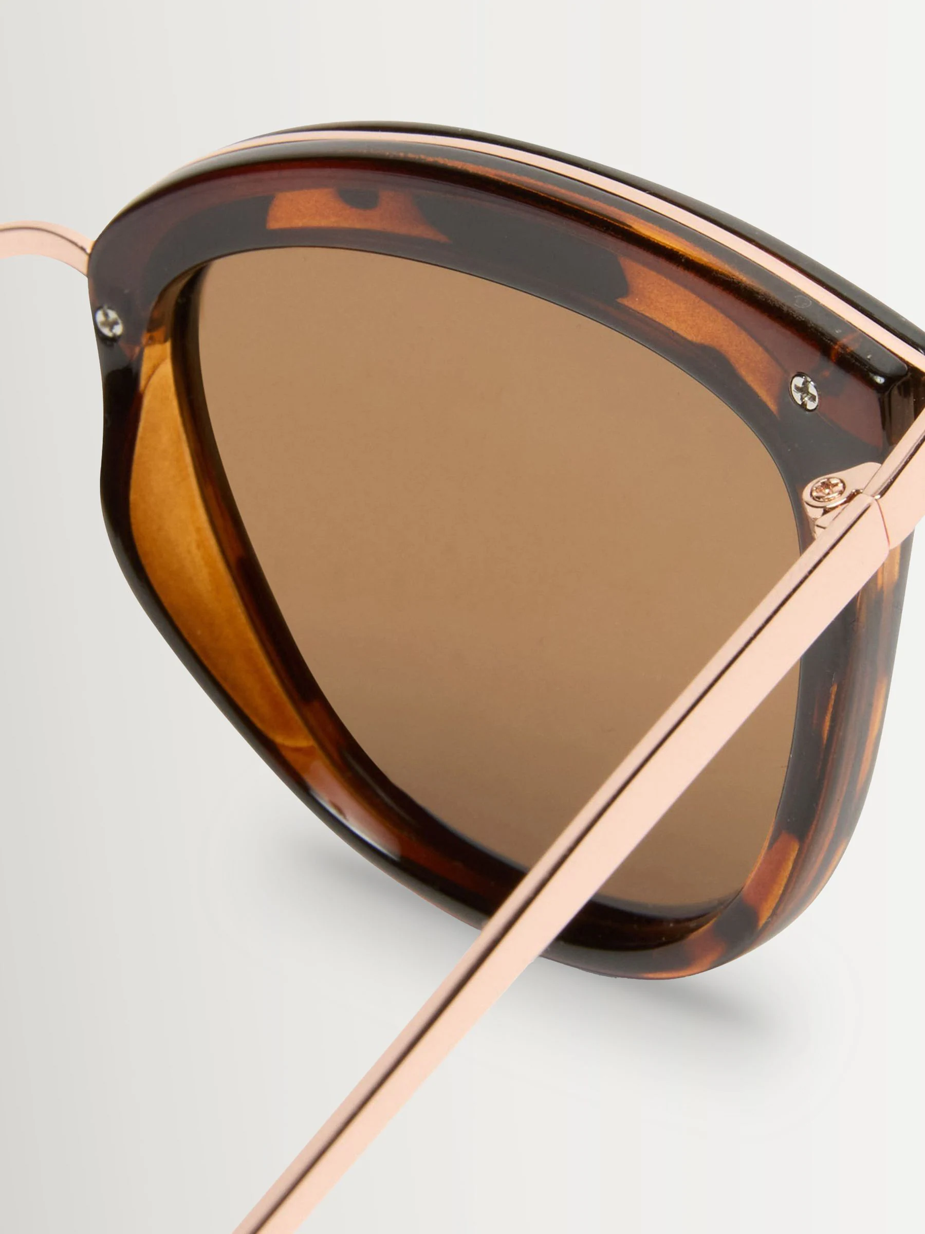 Bruin - Le Specs Caliente Sunglasses