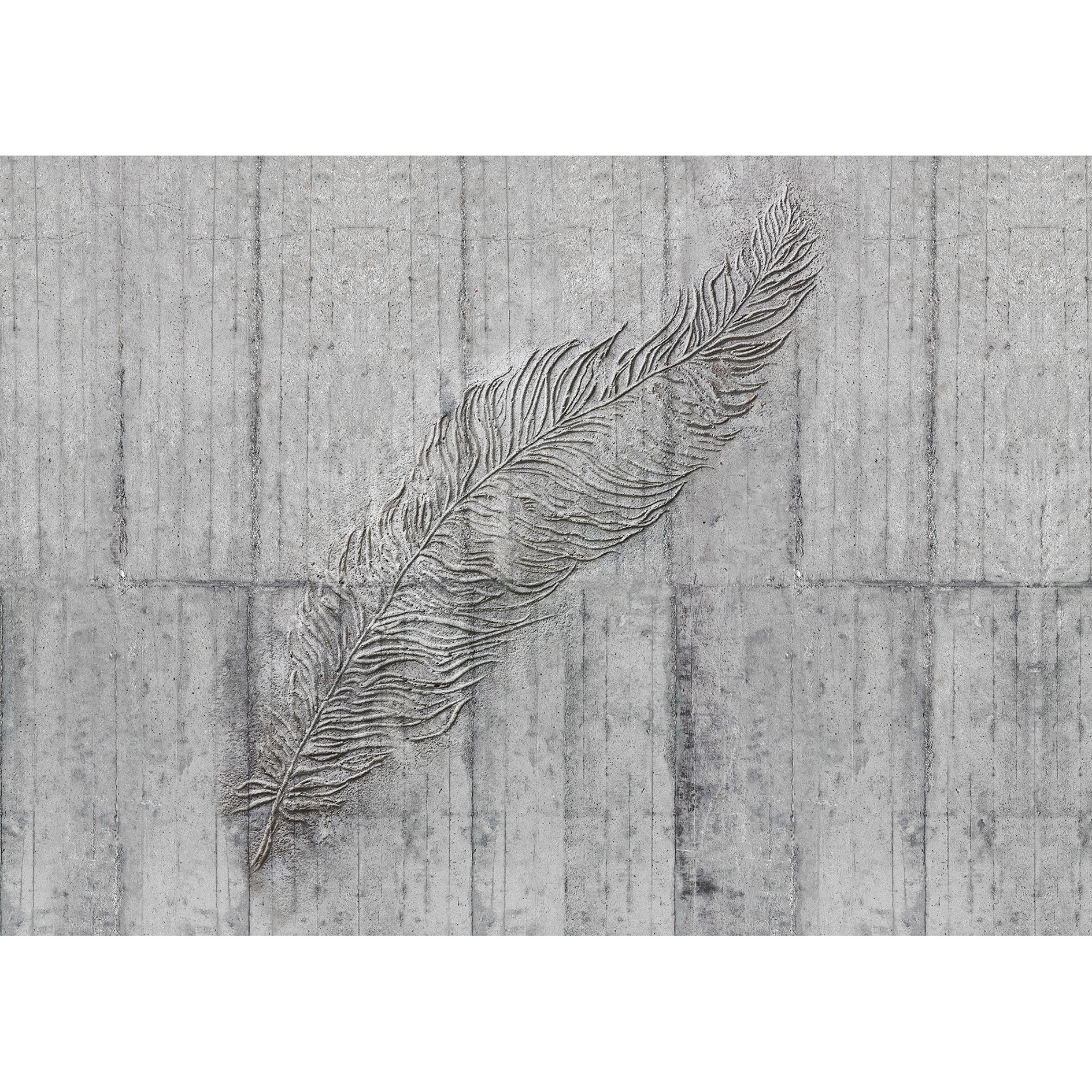 Vlies-Fototapete CONCRETE FEATHER - 350x250 cm