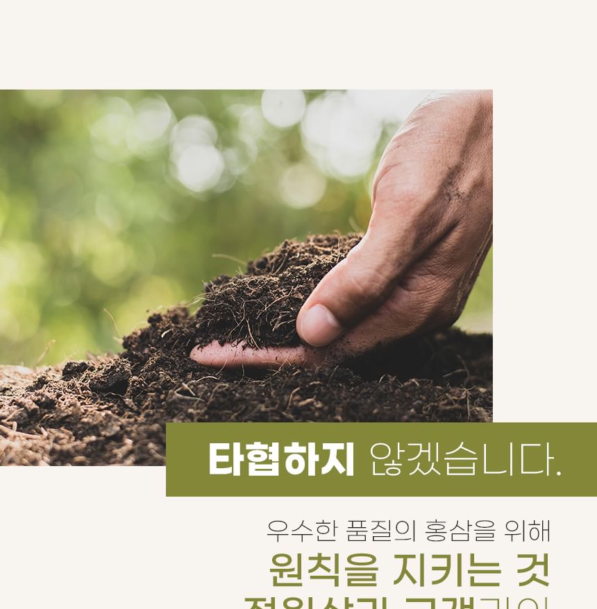 JUNGWONSAM - Rode Ginseng Immuunversterker