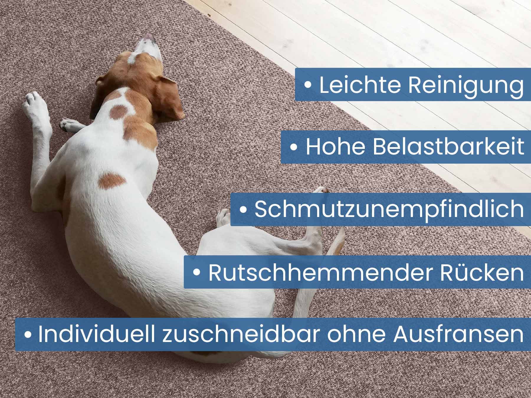 Primaflor-Ideen in Textil Läufer »Schmutzfangläufer PICOLLO, Made in Belgium« rechteckig 8 mm Höhe Schmutzfangmatte, meliert, strapazierfähig, rutschhemmend