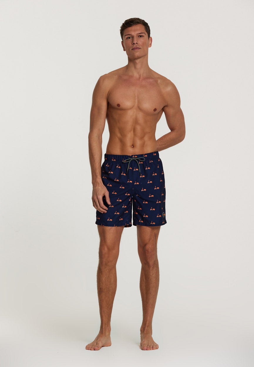 Shiwi  Men Swim Short Moped