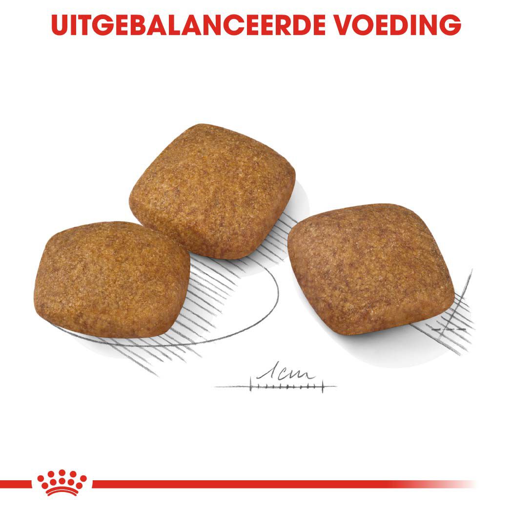 Royal Canin Relax Care Maxi - Hondenvoer - 9 Kilogram - gevogelte