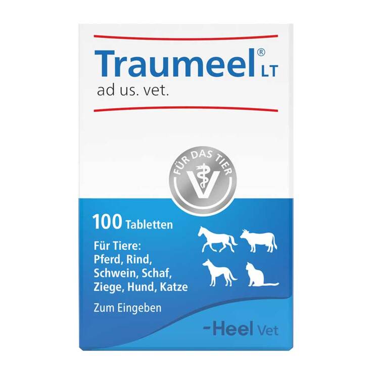 Traumeel LT ad us.vet.Tabletten, 100 St