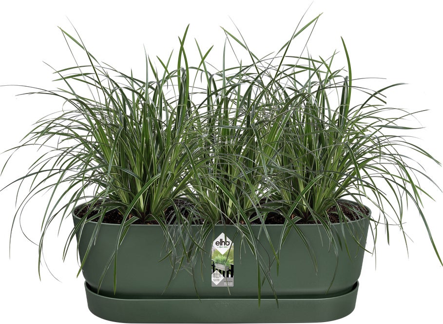 Elho balkonbak Greenville groen 52 x 21,2 x 19,4 cm