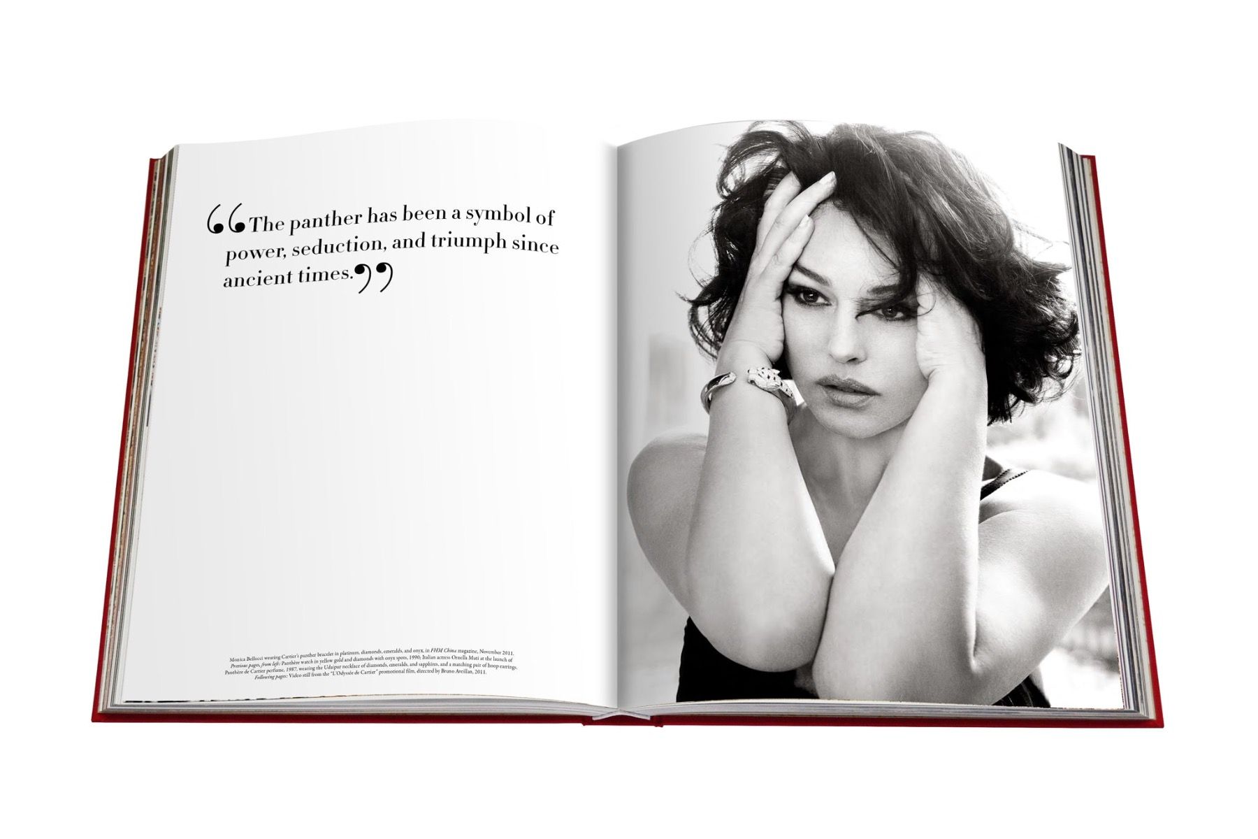 Assouline Cartier Panthère