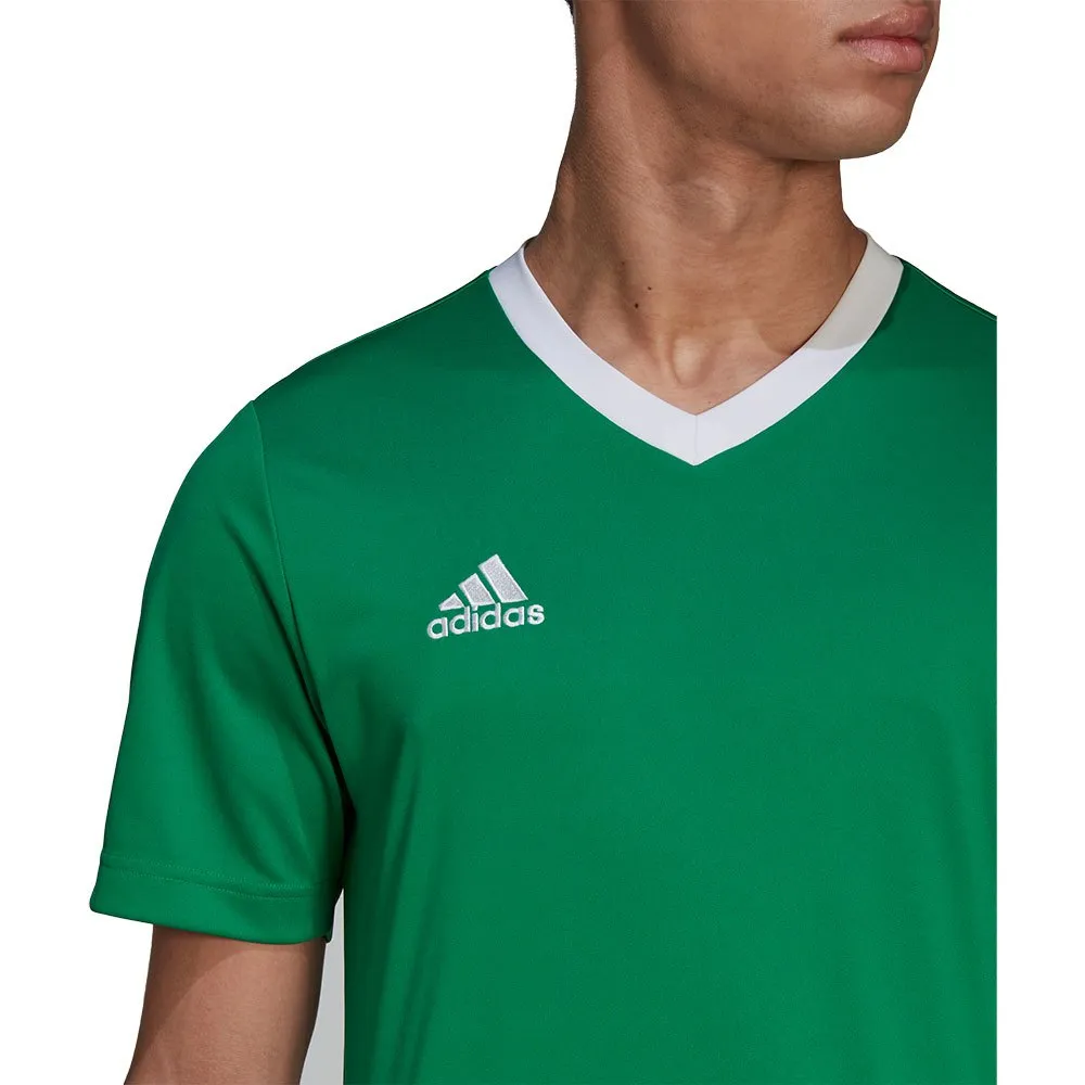 Camiseta de manga curta adidas Entrada 22