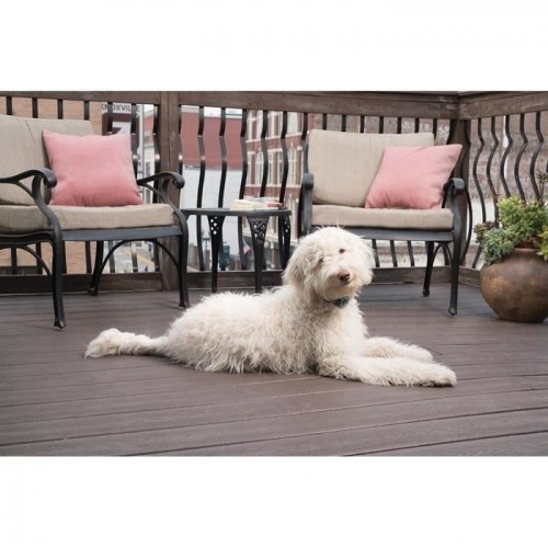Coleira de treinamento antilatido Petsafe Lite azul para cães