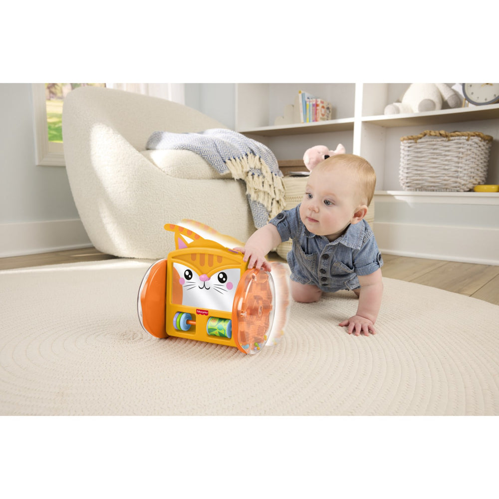Køb Fisher-Price® Kæledyr Kravl & Leg Kattespejl