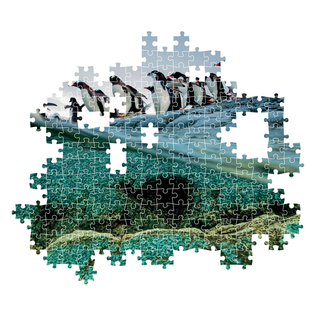Clementoni Legpuzzel National Geographics - Penguin, 1000st.