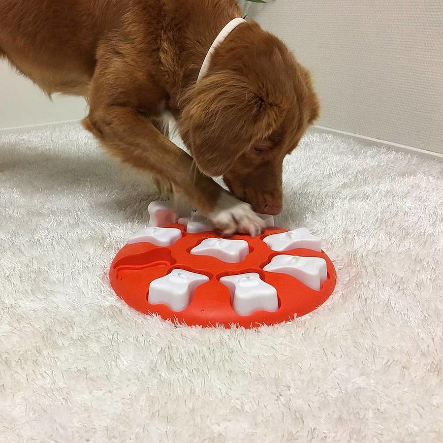 Nina Ottosson Dog Smart Hondenpuzzel Kunststof | 11629.1
