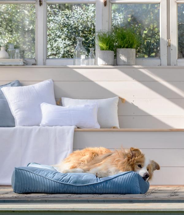 Dehner Lieblinge Kuschelkissen Rokoko,