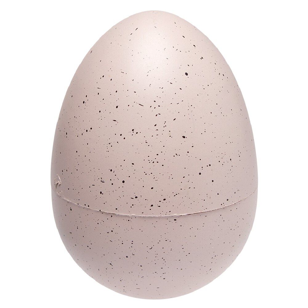 oeuf de dinosaure magique