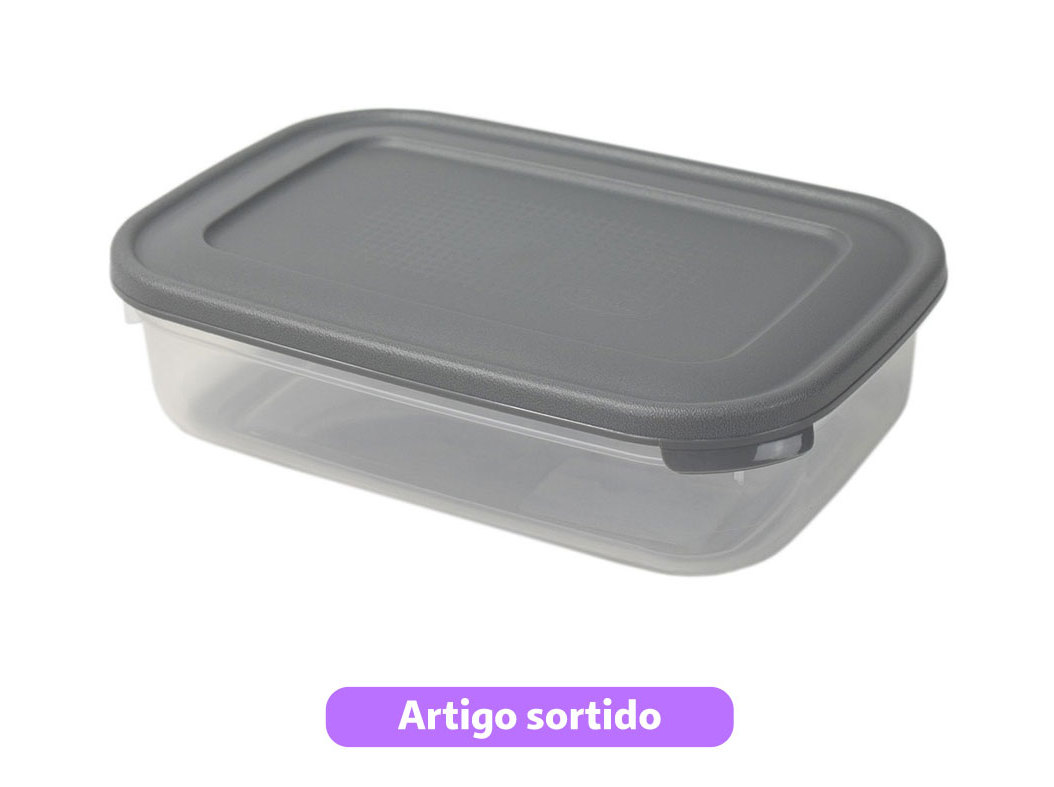 CAIXA RECTANGULAR CODIL 29.5X19.5X8CM CORES SORTIDAS