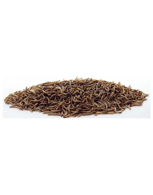 Esve Meelwormen In Emmer - Voer - 1 kg