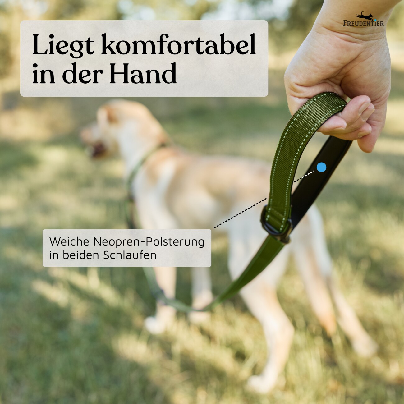 Freudentier UrbanFlow Umhängeleine, Hundeleine 3m oliv
