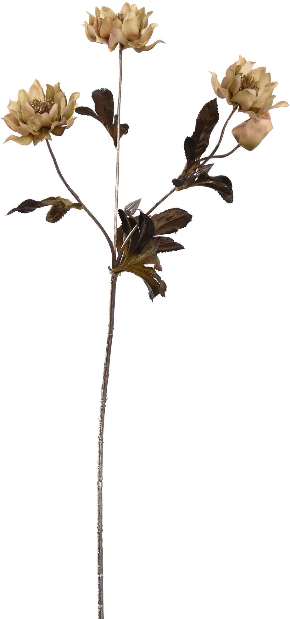 Jasaco PURE kunstbloem Helleborus crème 66 cm