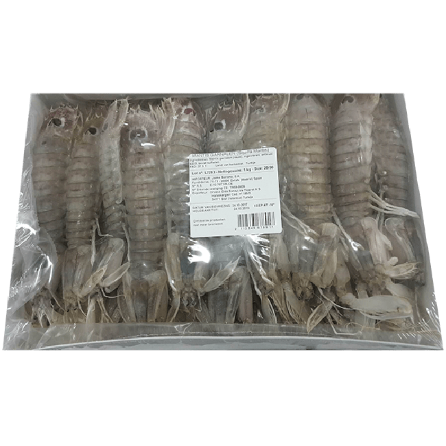Oriental Mantis Garnalen 1kg
