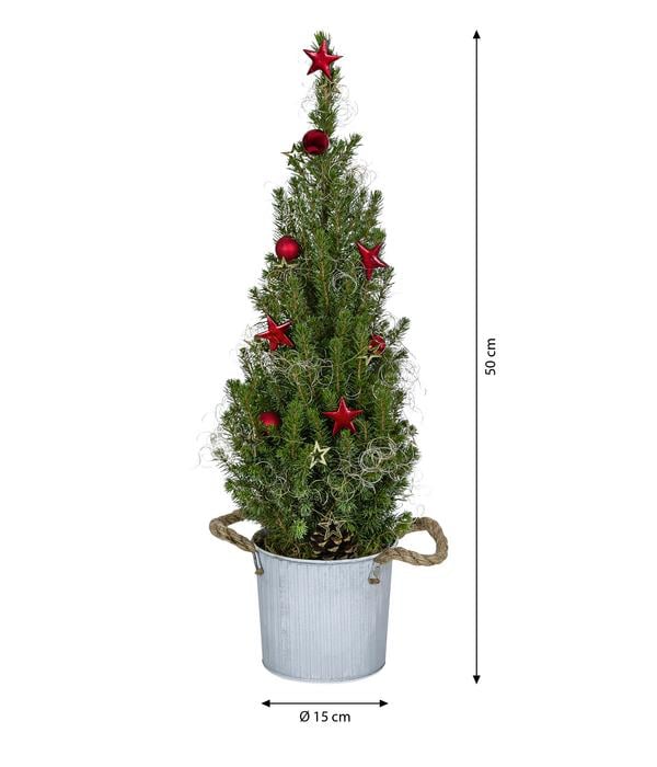 Geschmückter Weihnachtsbaum Linus