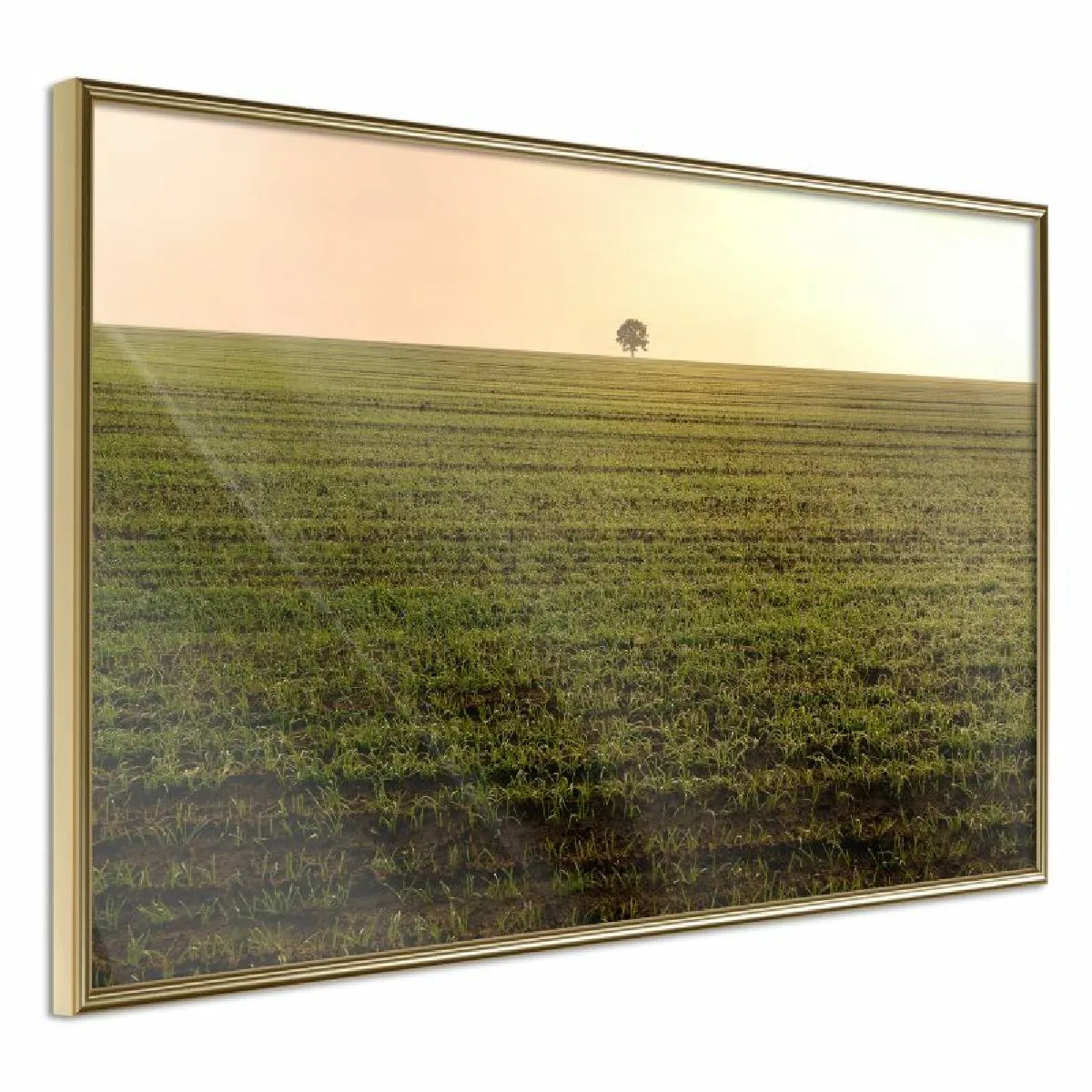 Paris Prix Affiche encadrée Farmland - 45 x 30 cm