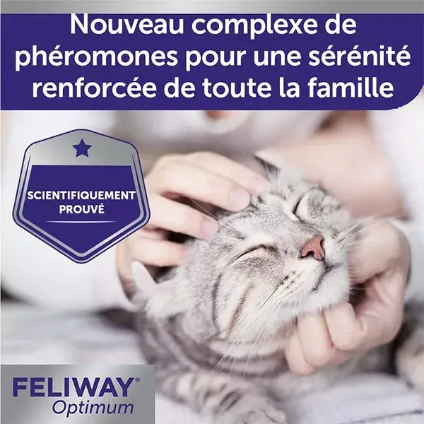 Feliway Optimum Pack éco 3 recharges Anti-stress chat nouvelle formule 3x30 jours