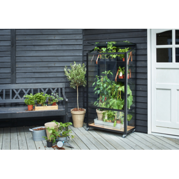 Royal Well City Garden balkon serre