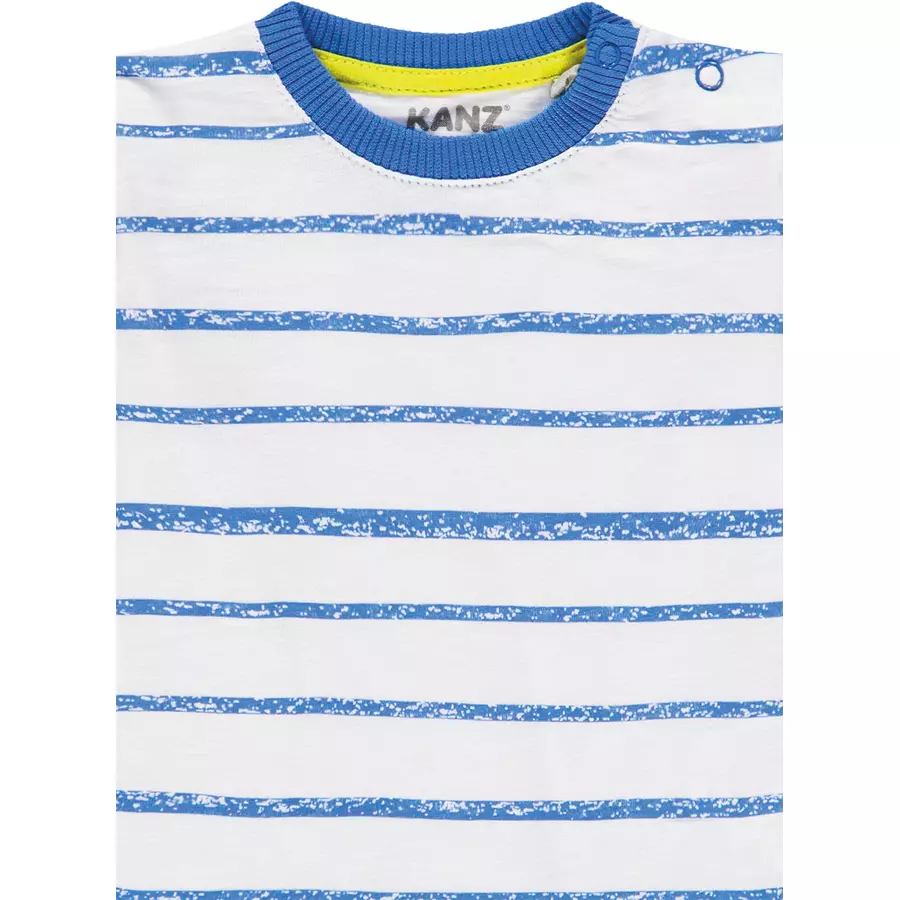 KANZ Boys Langarmshirt, allover|multicolored