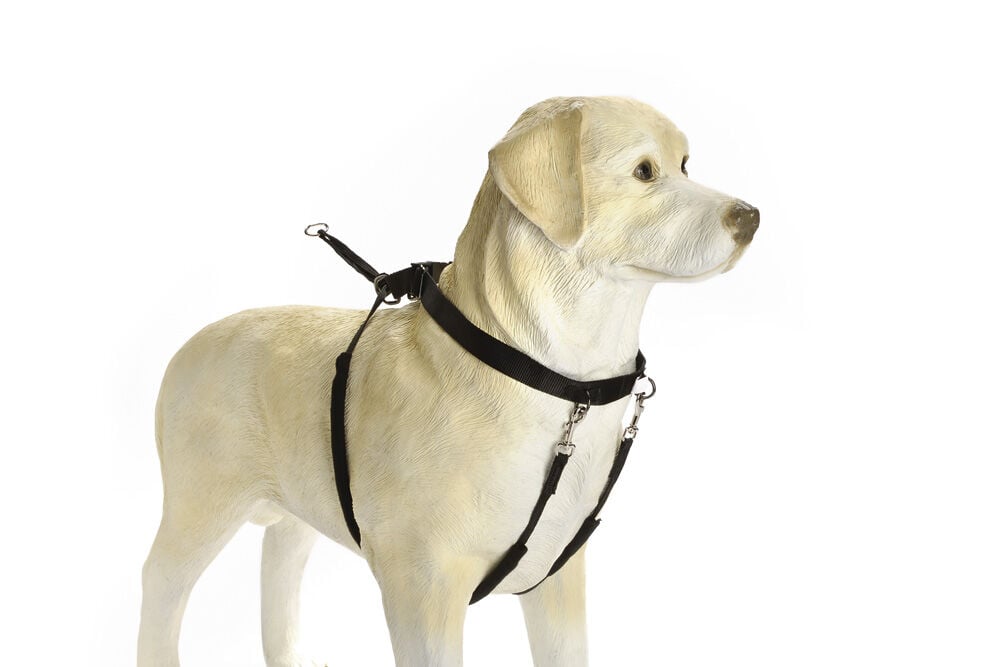 Beeztees Gentle Walker - Borsttuig Hond - zwart - Small