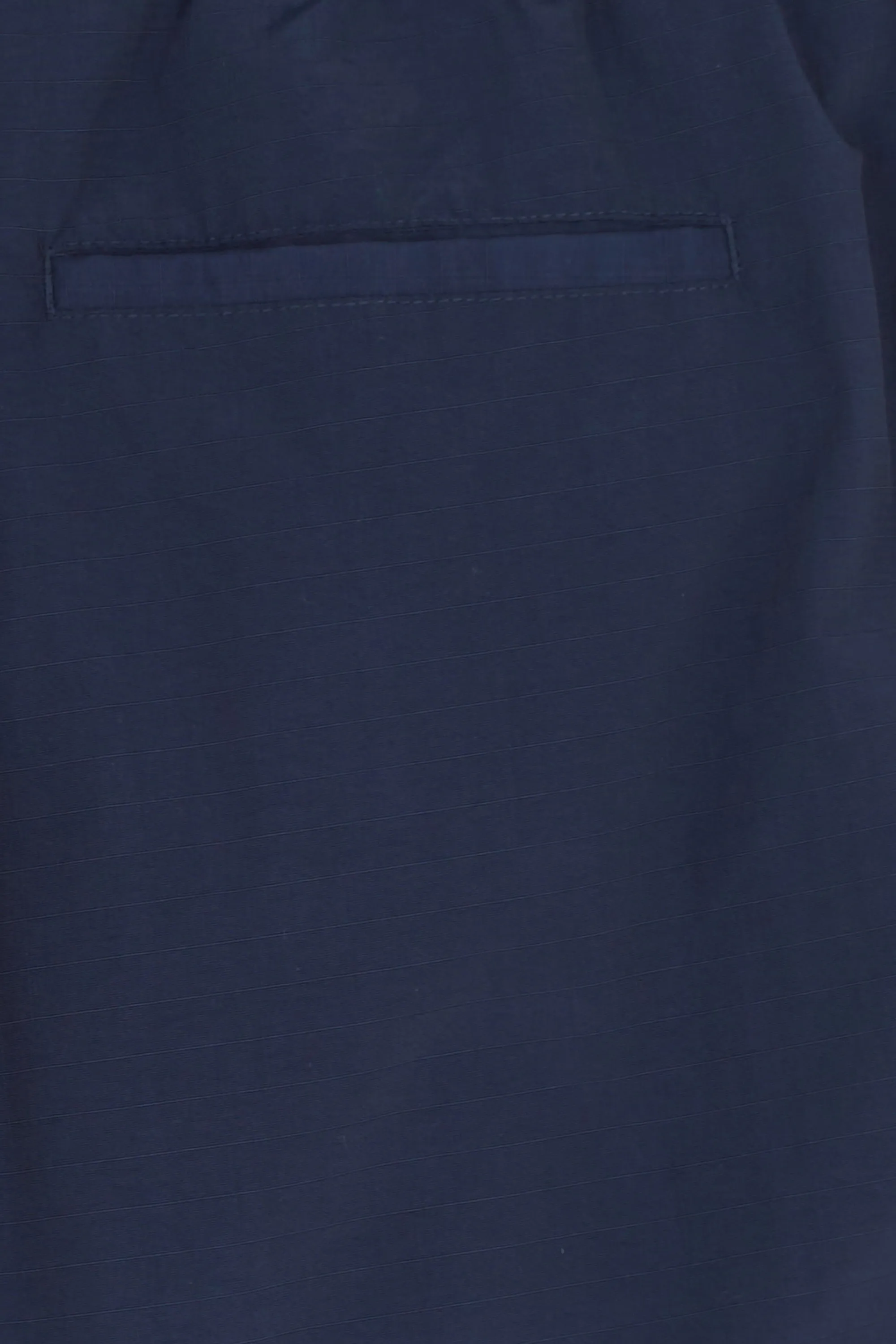 TOMMY JEANS Short  TJM ARCHIVE BEACH SH Bleu