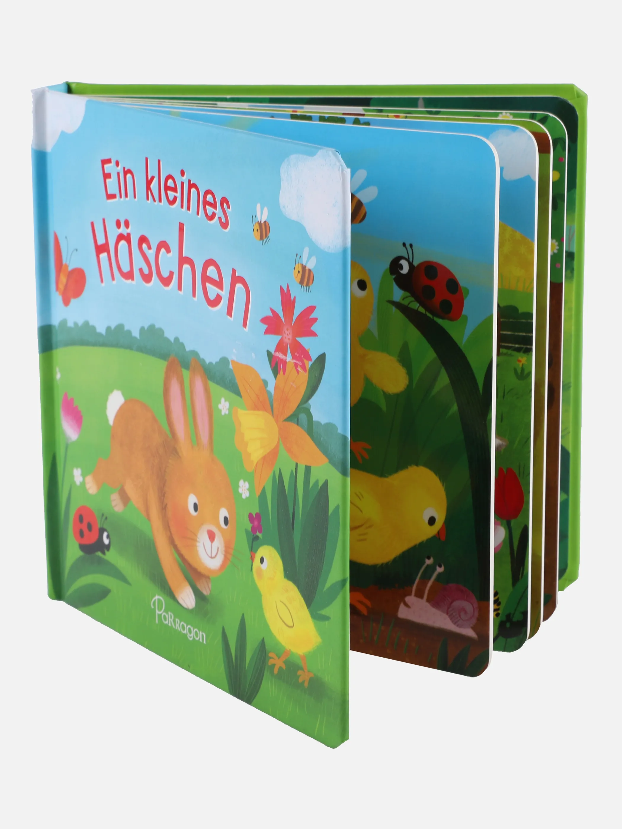 Kinderbuch 
